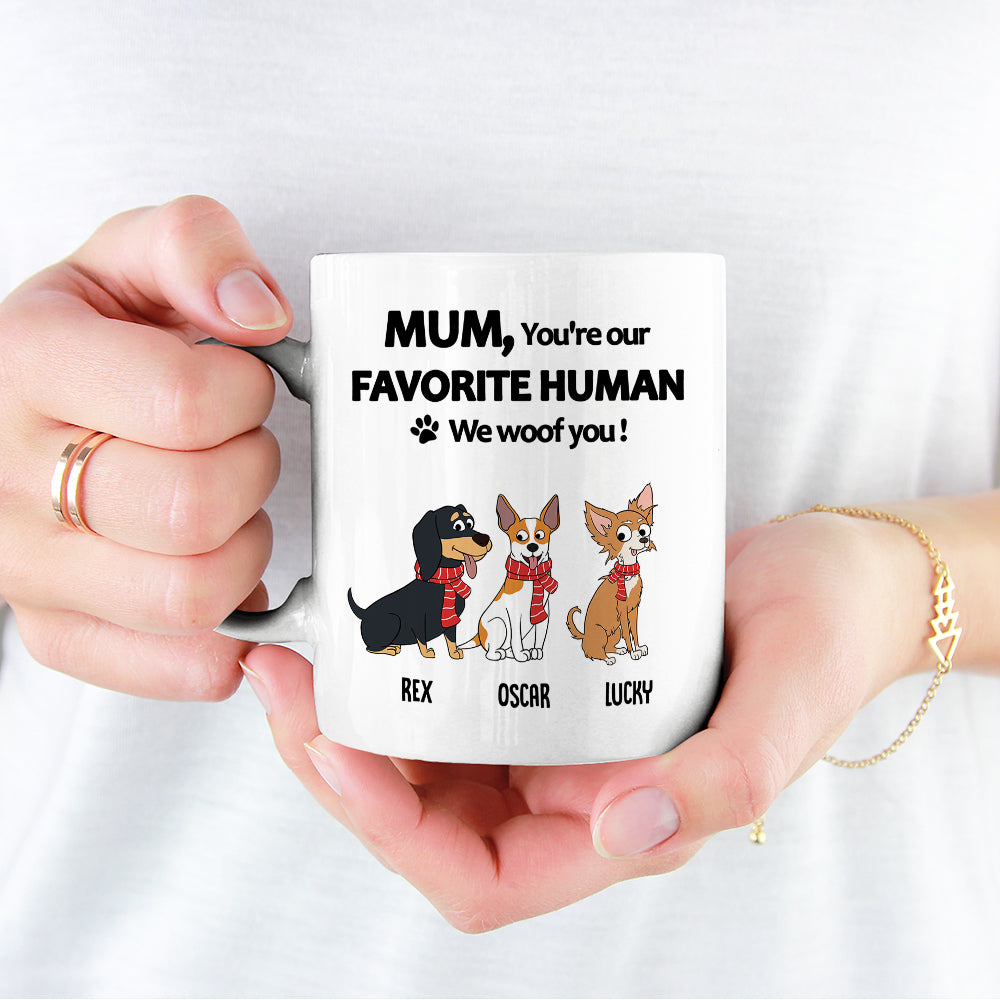 To My Favorite Human - Personalized Custom Coffee Mug
